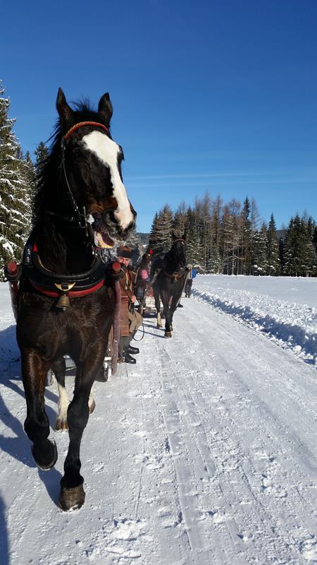 Kulig w Dolinie Chochołowskiej
