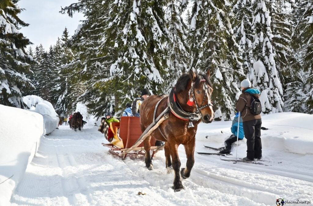 kulig firmowy Zakopane