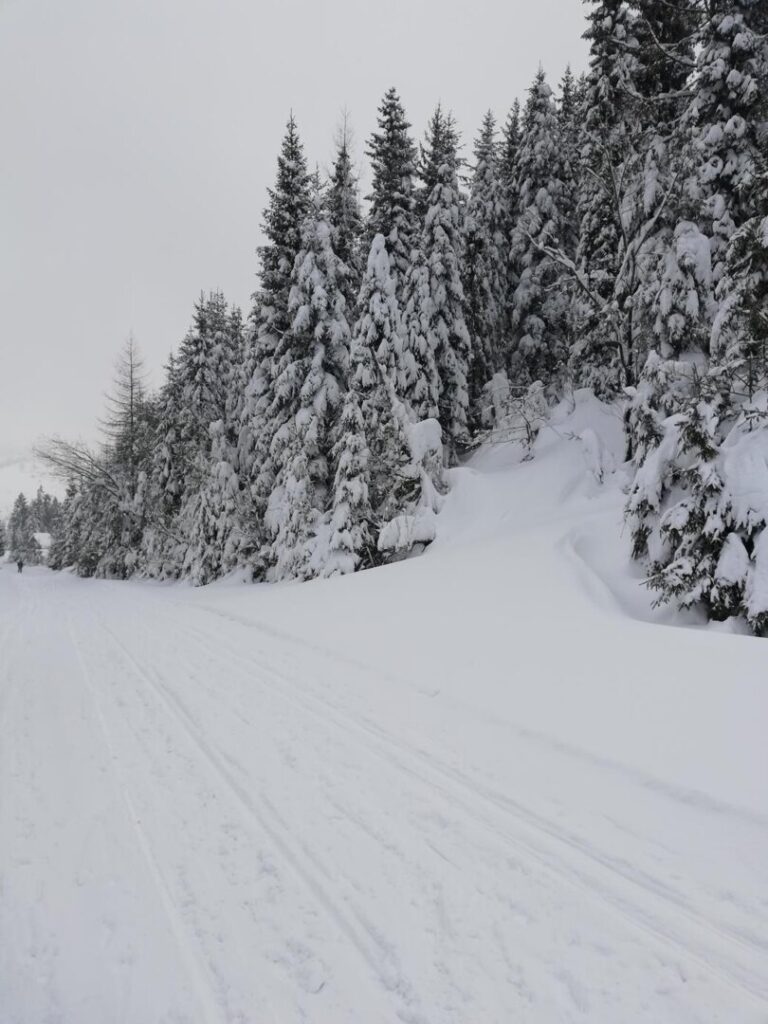 Idealne warunki zimowe na biegówki w Gorcach