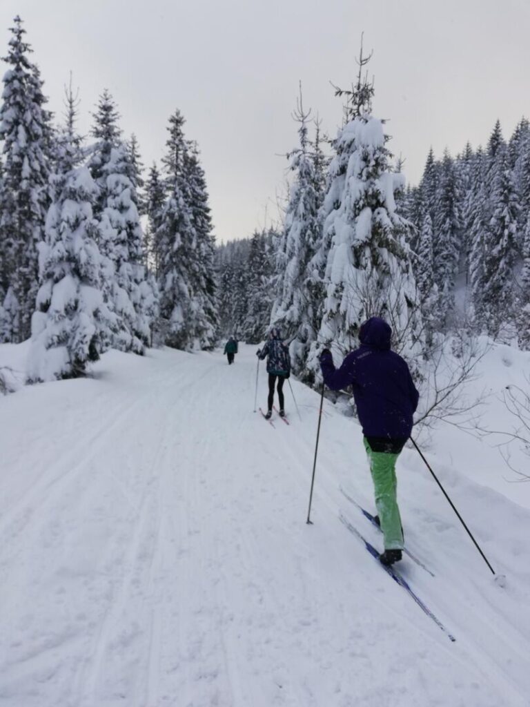 Trasa na narty biegowe w Gorcach