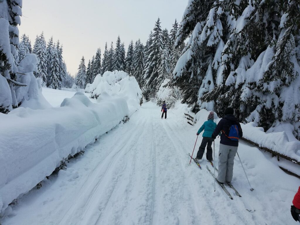 Trasa Śladami Olimpijczyków Obidowa Gorce