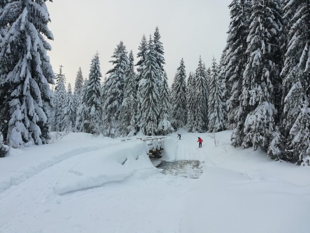 Przepiękna trasa na narty biegowe w Gorcach