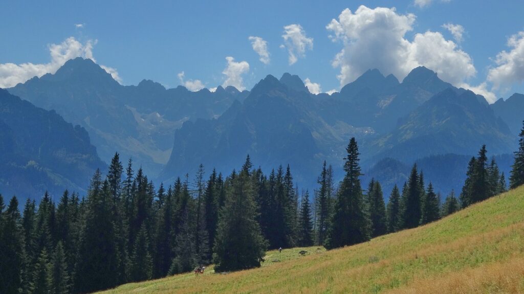 Rusinowa Polana - widok na Tatry Wysokie