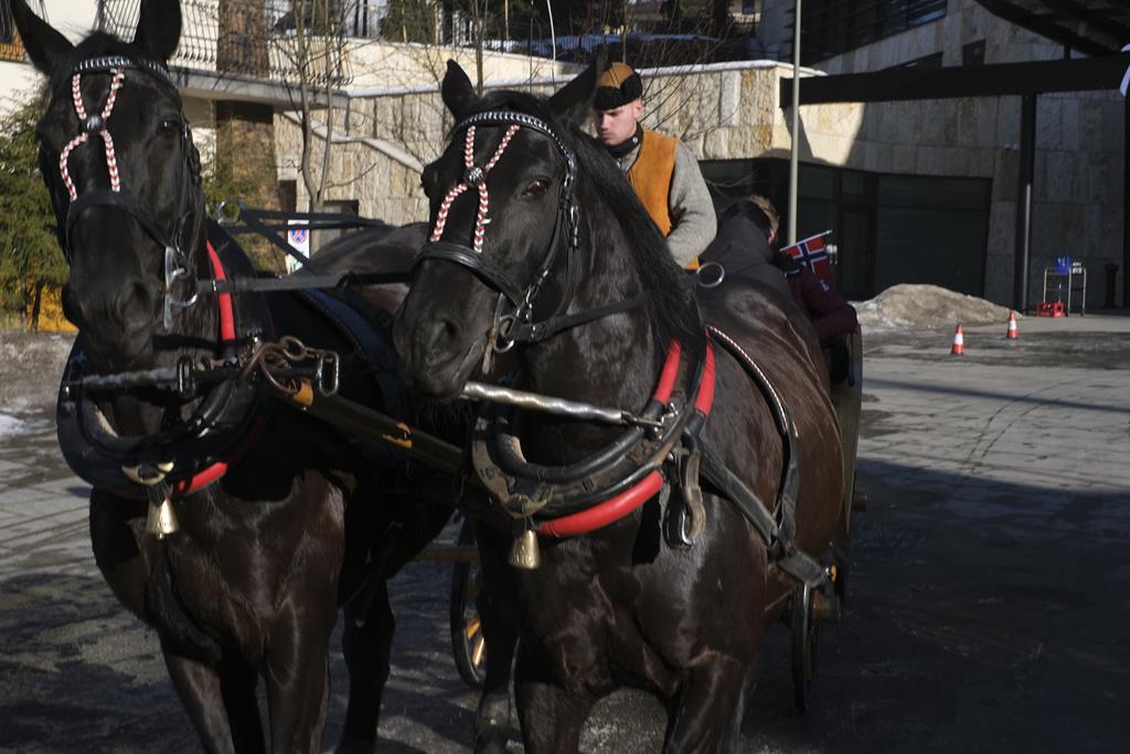 Zaprzęg konny pod hotelem Radisson w Zakopanem