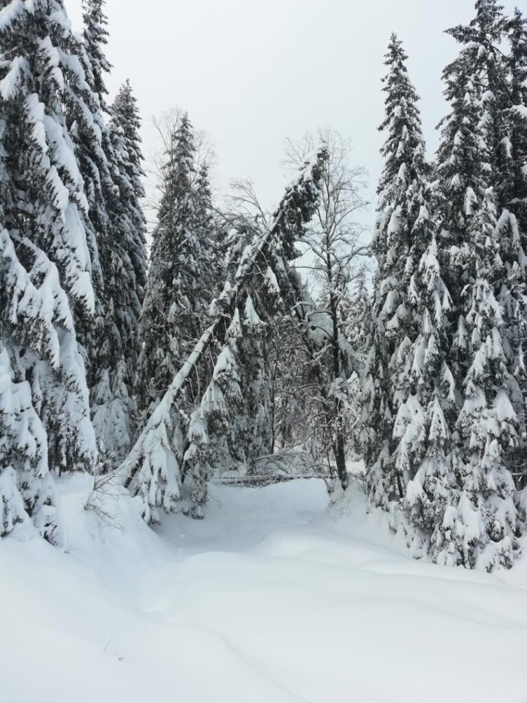Przepiękna zima pod Tatrami