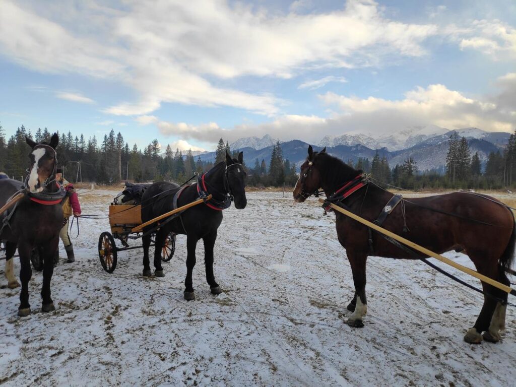 Kulig w Dolinie Chochołowskiej
