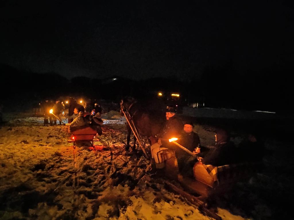 Kulig w Dolinie Chochołowskiej z pohodniami