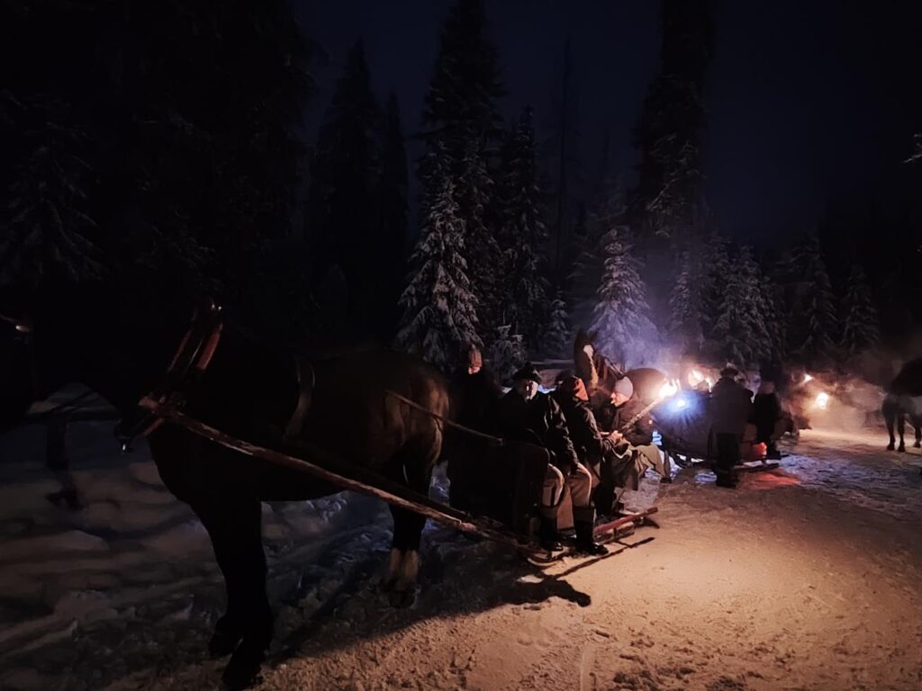 Kulig w Dolinie Chochołowskiej