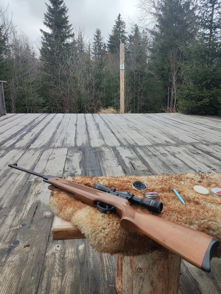 Strzelanie z wiatrówki